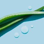 aloe-vera-guide-alt-1440x810