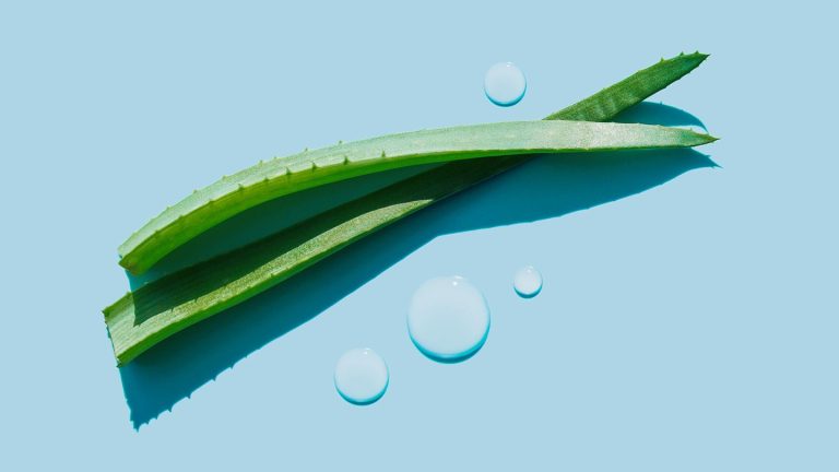 aloe-vera-guide-alt-1440x810